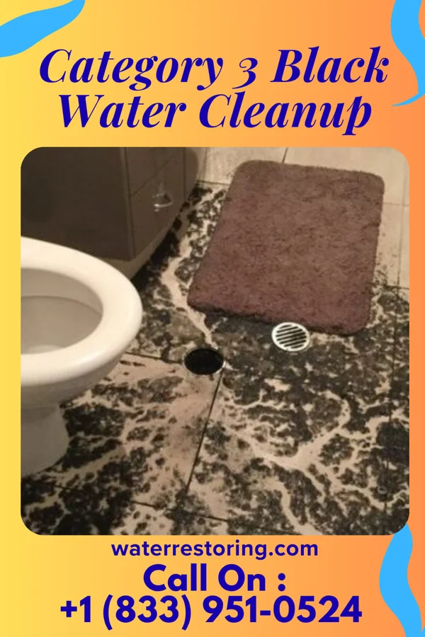 Category 3 Black Water Cleanup in Waseca, MN