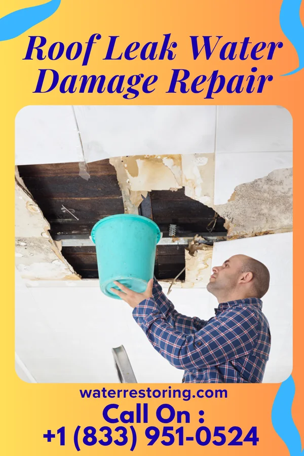Roof Leak Water Damage Repair in Waseca, MN